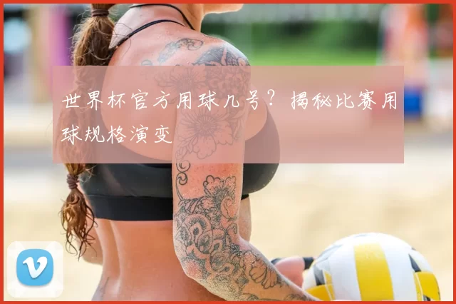 世界杯官方用球几号？揭秘比赛用球规格演变