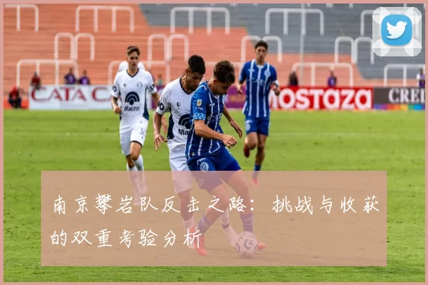 南京攀岩队反击之路:挑战与收获的双重考验分析
