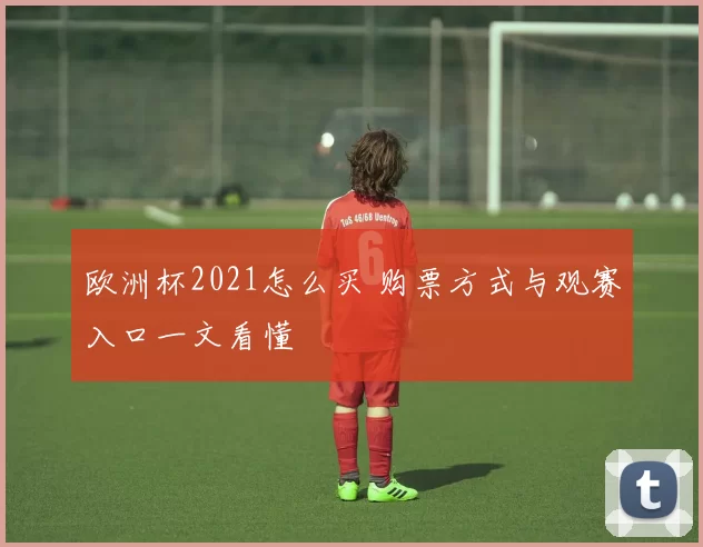 欧洲杯2021怎么买 购票方式与观赛入口一文看懂