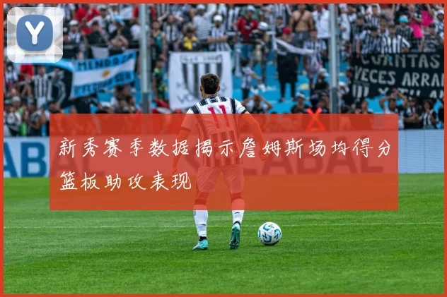 新秀赛季数据揭示詹姆斯场均得分篮板助攻表现