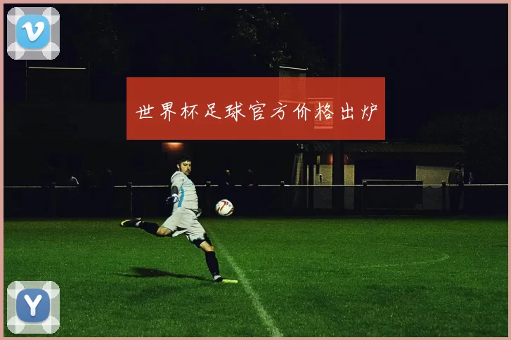 世界杯足球官方价格出炉
