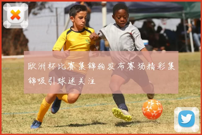 欧洲杯比赛集锦狗发布赛场精彩集锦吸引球迷关注