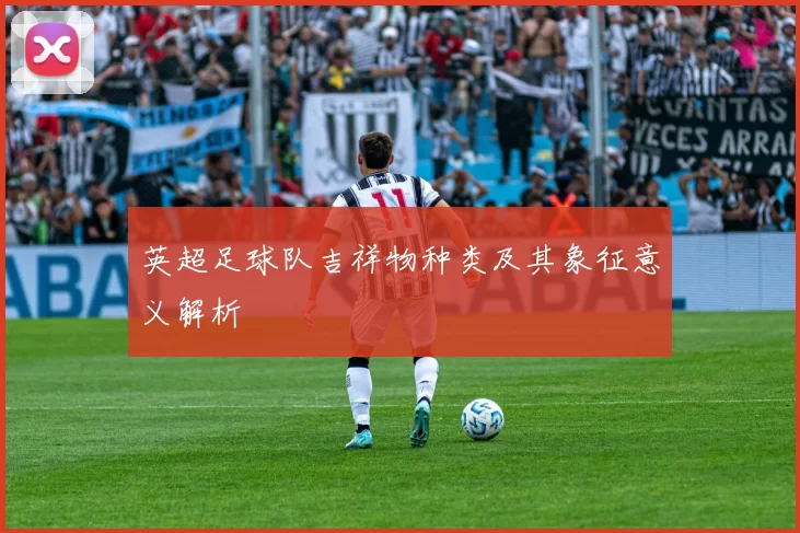 英超足球队吉祥物种类及其象征意义解析