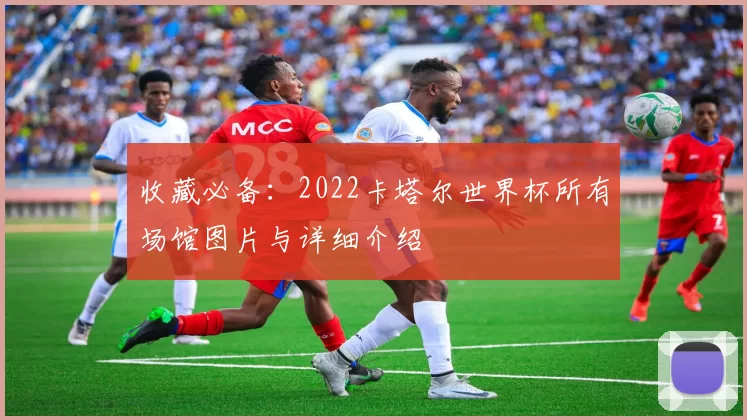 收藏必备：2022卡塔尔世界杯所有场馆图片与详细介绍