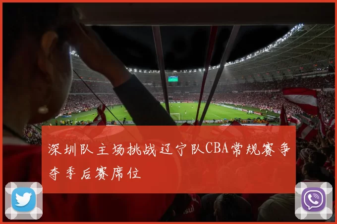深圳队主场挑战辽宁队CBA常规赛争夺季后赛席位