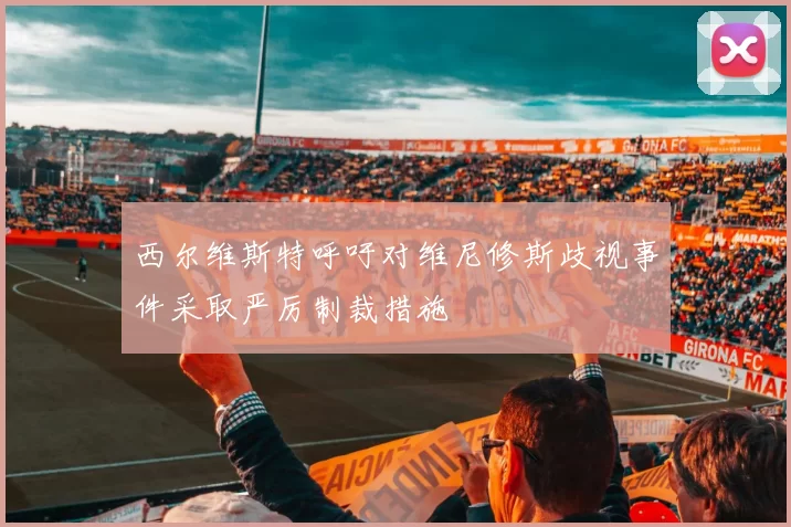 西尔维斯特呼吁对维尼修斯歧视事件采取严厉制裁措施