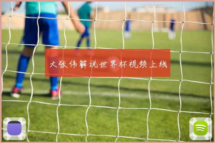 大张伟解说世界杯视频上线