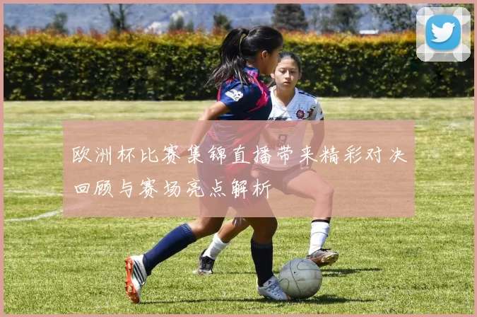 欧洲杯比赛集锦直播带来精彩对决回顾与赛场亮点解析