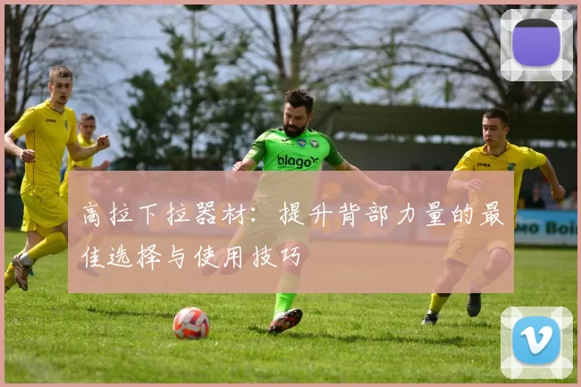 高拉下拉器材:提升背部力量的最佳选择与使用技巧