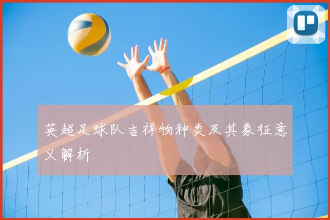 英超足球队吉祥物种类及其象征意义解析