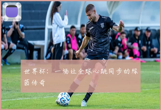 世界杯:一场让全球心跳同步的绿茵传奇