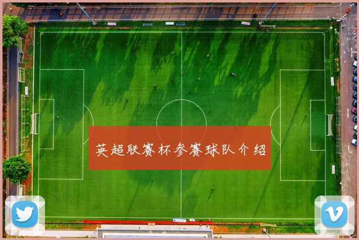 英超联赛杯参赛球队介绍