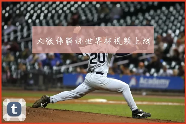 大张伟解说世界杯视频上线