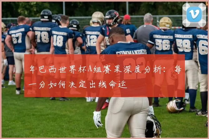 年巴西世界杯A组赛果深度分析：每一分如何决定出线命运