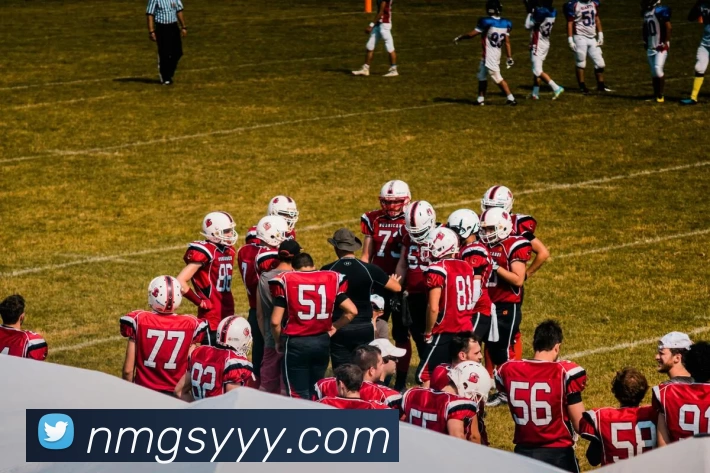 买球官网APP 封面图